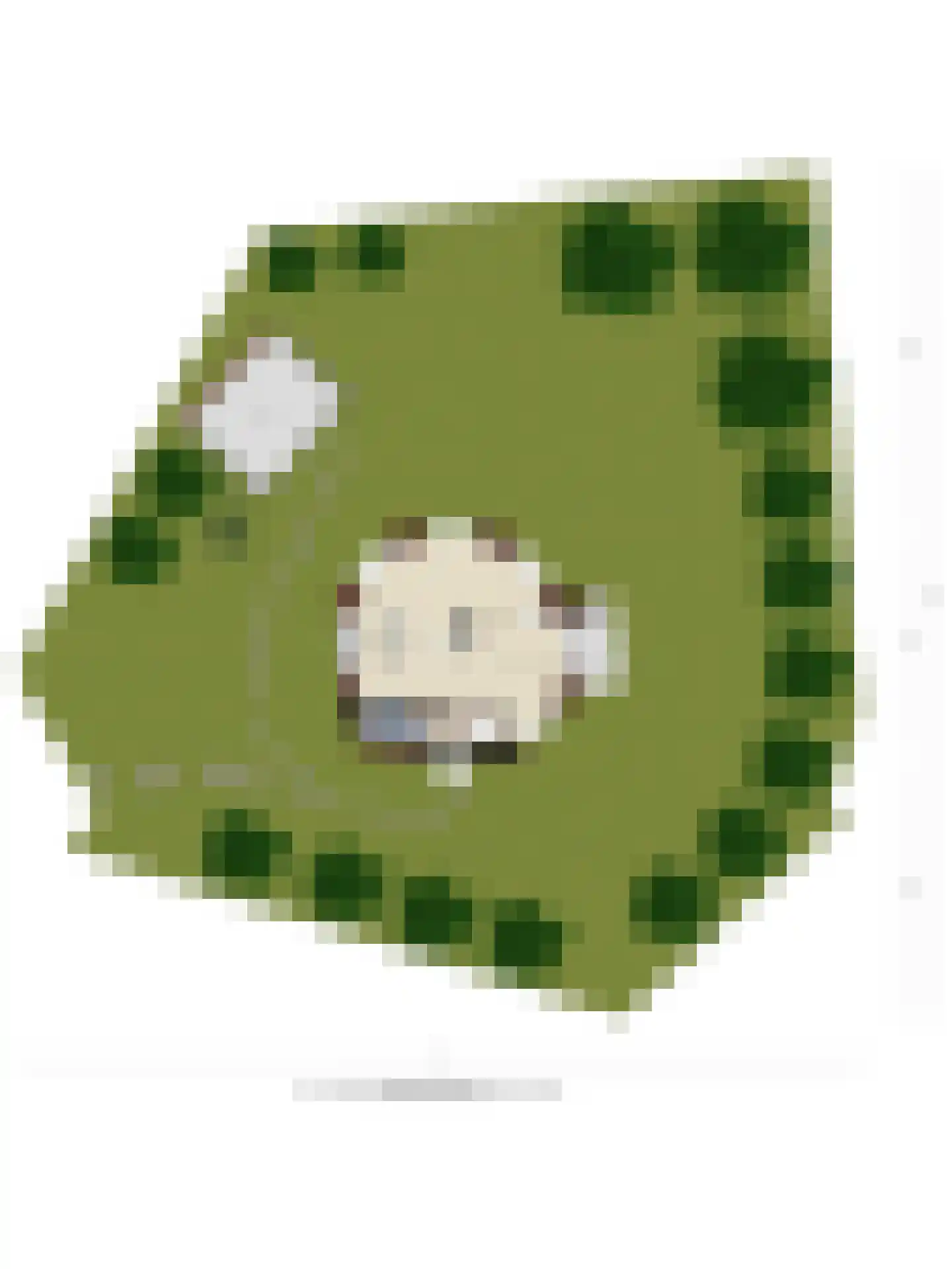 Meerpolder 44 Zoetermeer thumbnail 32