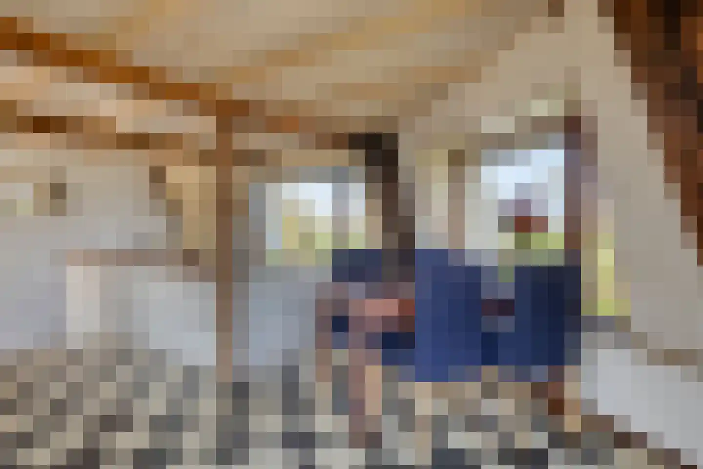 Meerpolder 44 Zoetermeer thumbnail 6