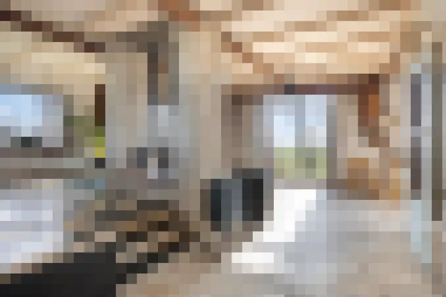 Meerpolder 44 Zoetermeer thumbnail 7