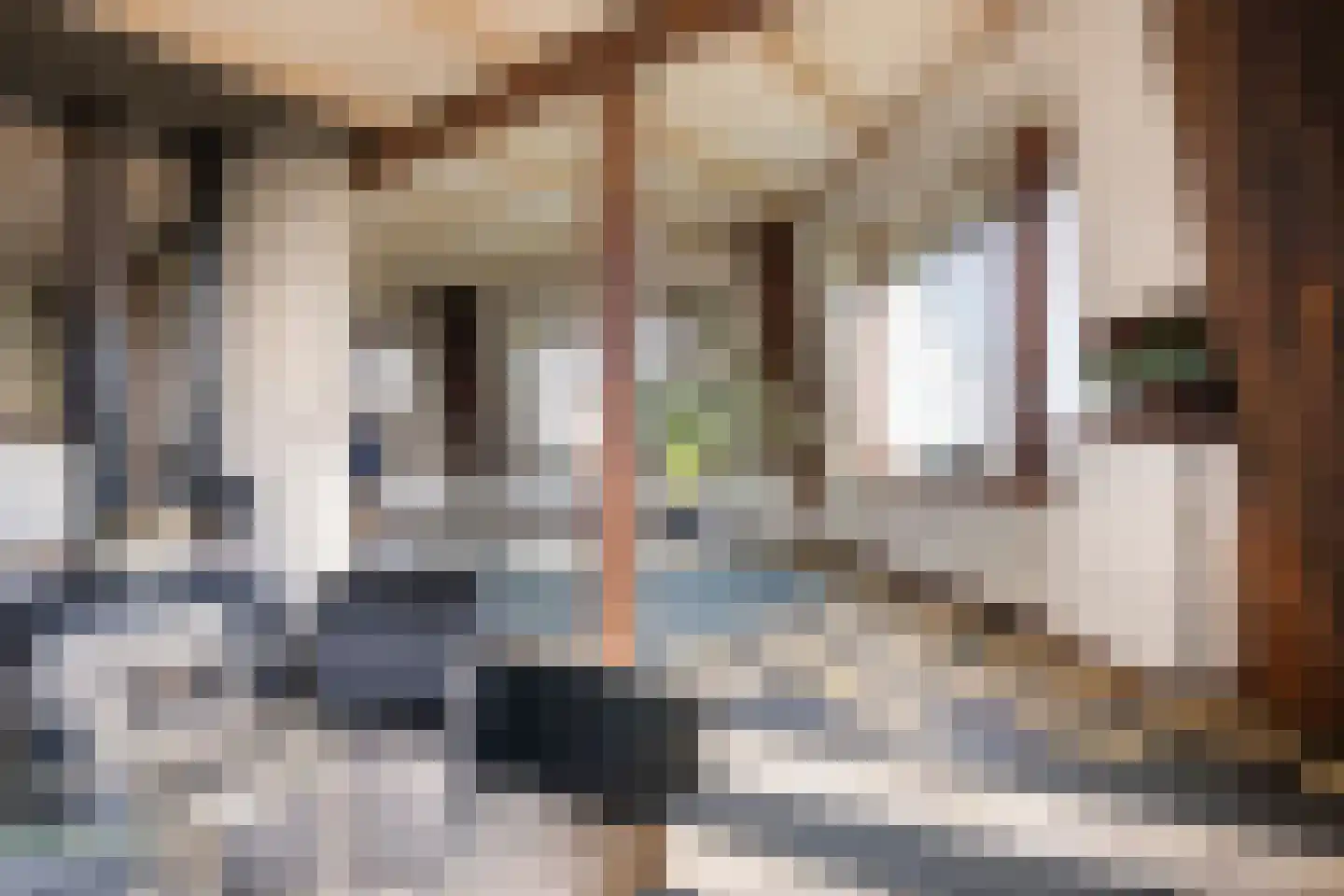 Meerpolder 44 Zoetermeer thumbnail 8