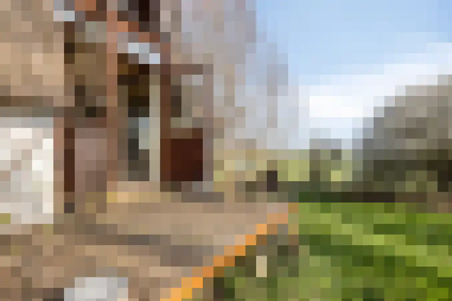 Meerpolder 44 Zoetermeer thumbnail 9