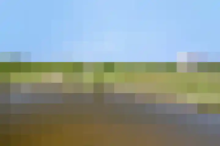 Meerring 10 Eindhoven thumbnail 6