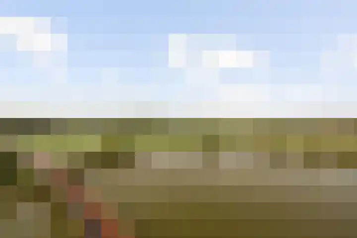 Meerring 148 Eindhoven thumbnail 23