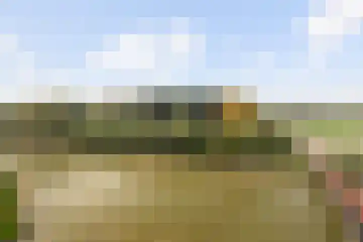 Meerring 148 Eindhoven thumbnail 24