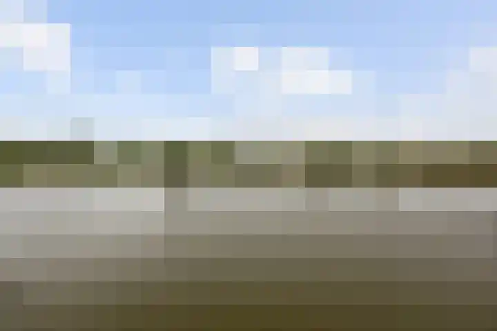 Meerring 148 Eindhoven thumbnail 27