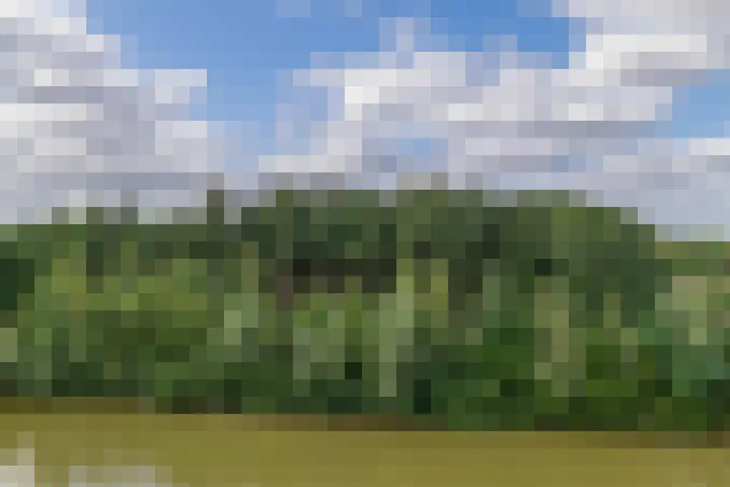 Meerring 152 Eindhoven thumbnail 27