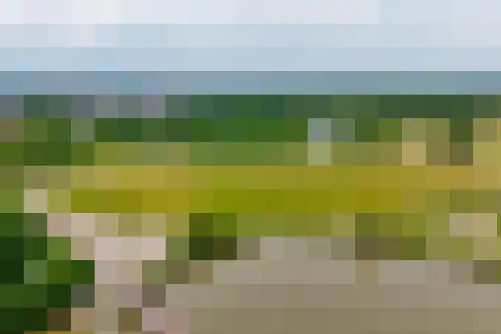 Meerring 156 Eindhoven thumbnail 42