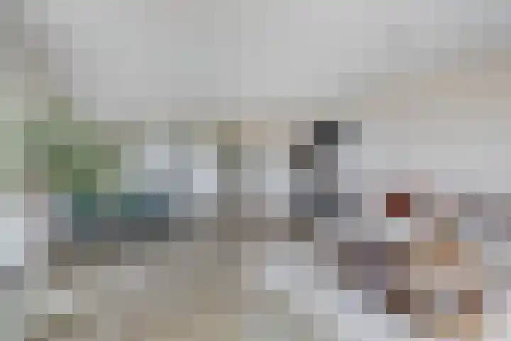 Meerring 164 Eindhoven thumbnail 17