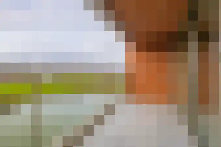 Meerring 164 Eindhoven thumbnail 23