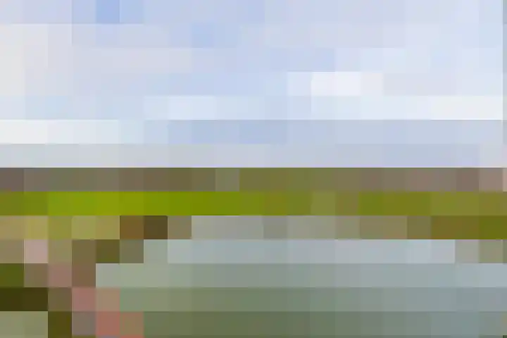 Meerring 164 Eindhoven thumbnail 25