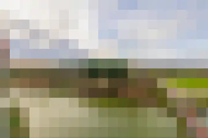 Meerring 164 Eindhoven thumbnail 26