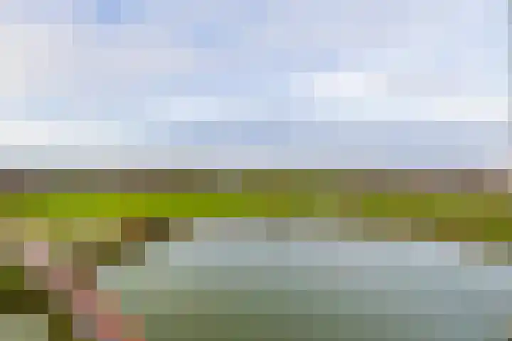 Meerring 164 Eindhoven thumbnail 4