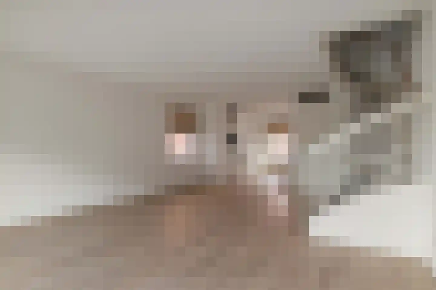 Meerring 172 Eindhoven thumbnail 8