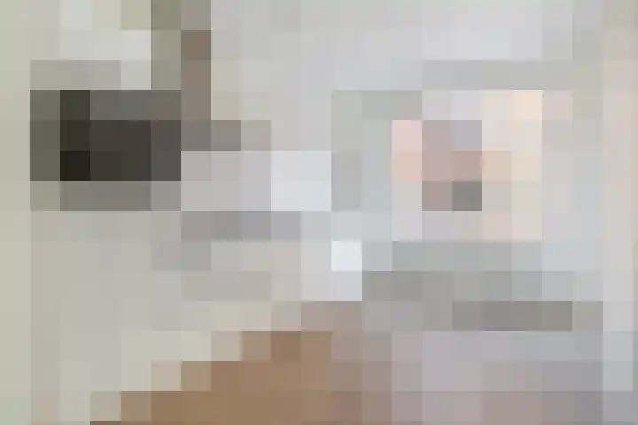 Meerring 184 Eindhoven thumbnail 15