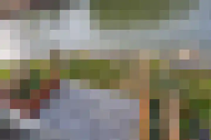 Meerring 184 Eindhoven thumbnail 37
