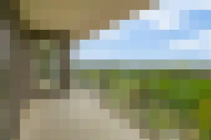 Meerring 187 Eindhoven thumbnail 31