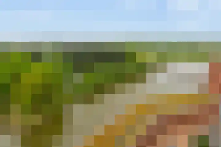 Meerring 187 Eindhoven thumbnail 33
