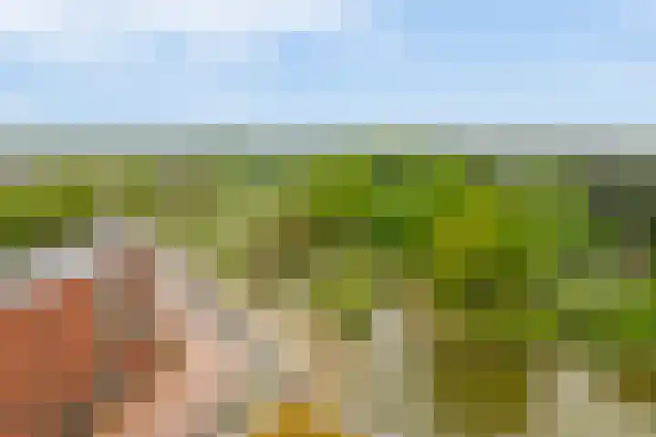 Meerring 187 Eindhoven thumbnail 34
