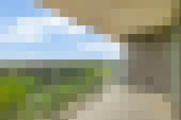 Meerring 187 Eindhoven thumbnail 4