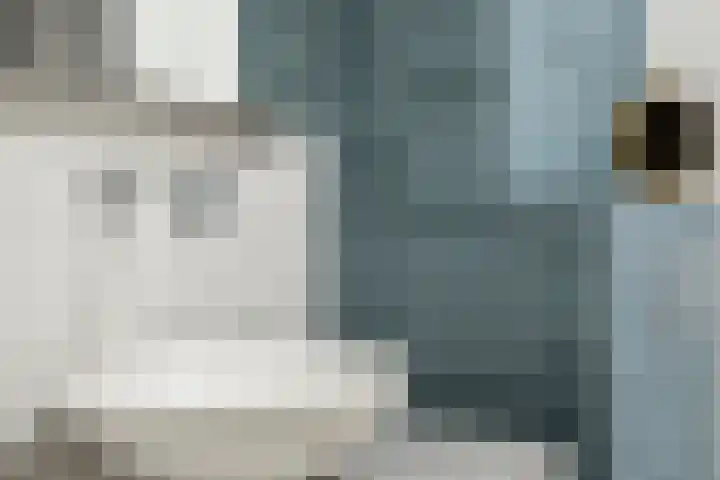 Meerring 32 Eindhoven thumbnail 29