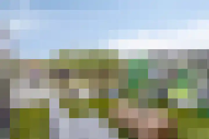 Meerring 32 Eindhoven thumbnail 43