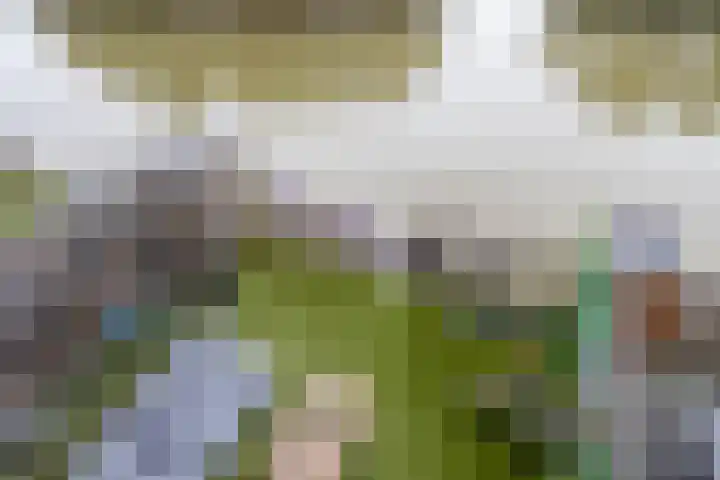 Meerring 32 Eindhoven thumbnail 49