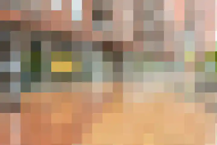 Meerring 32 Eindhoven thumbnail 56