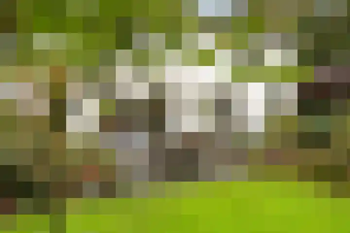 Meerring 32 Eindhoven thumbnail 57