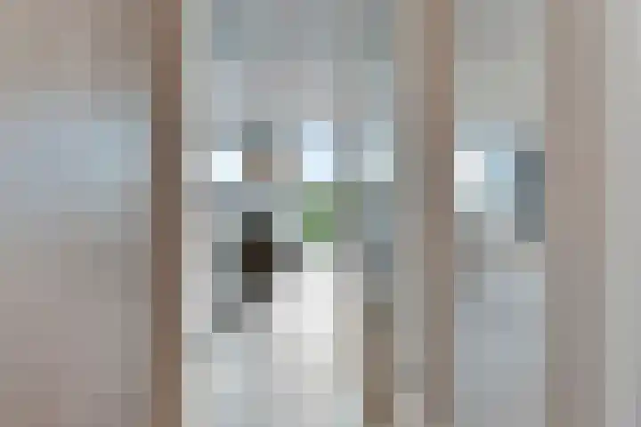 Meerring 32 Eindhoven thumbnail 7