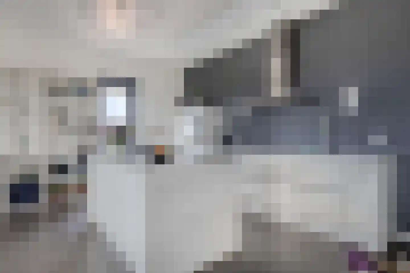 Meerring 62 Eindhoven thumbnail 10