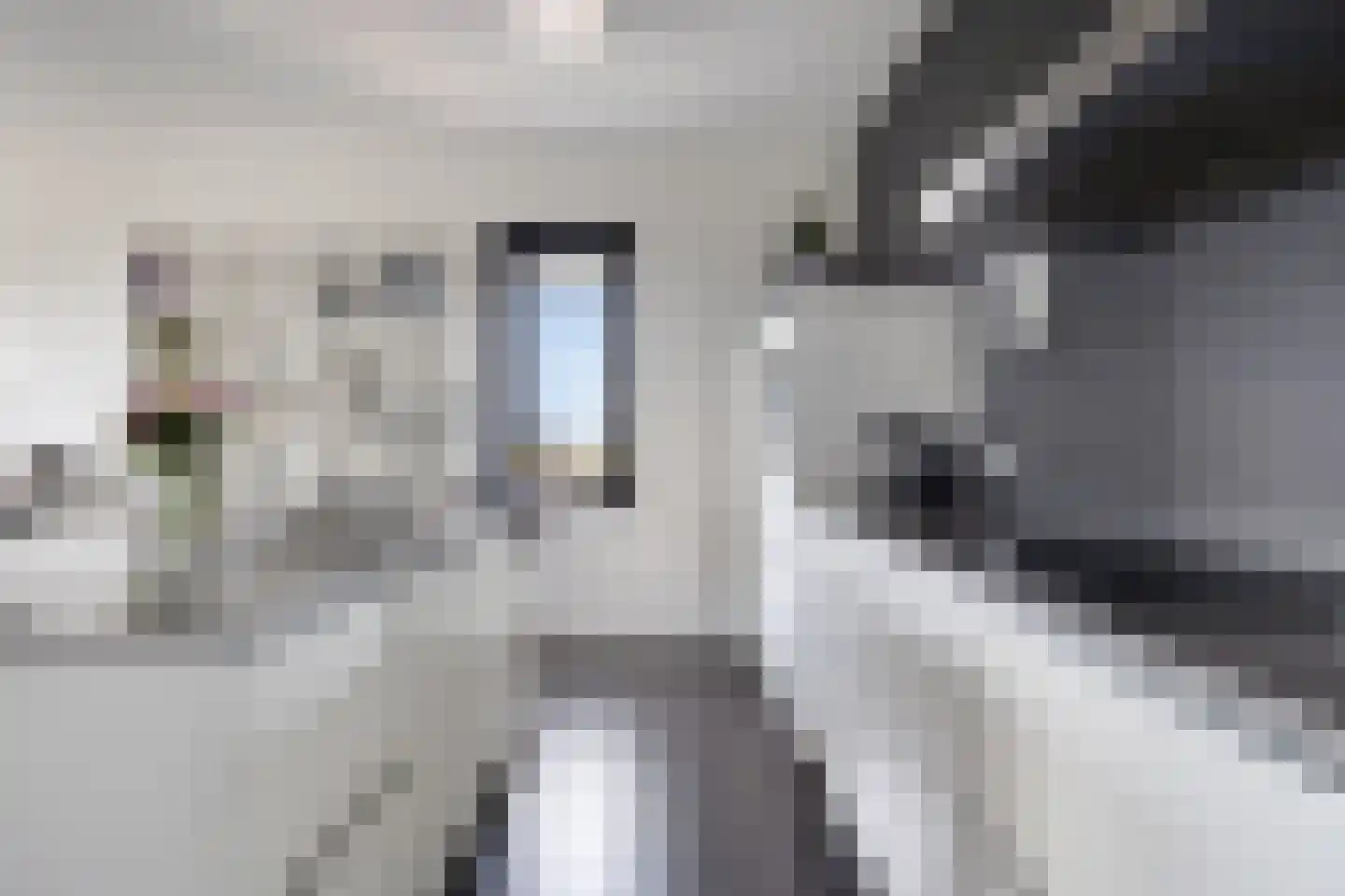 Meerring 62 Eindhoven thumbnail 11