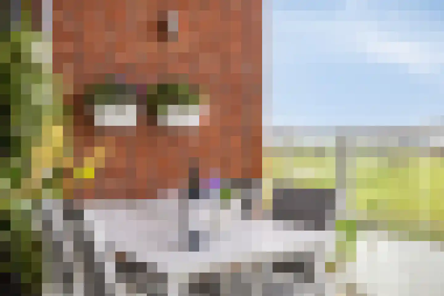 Meerring 62 Eindhoven thumbnail 19