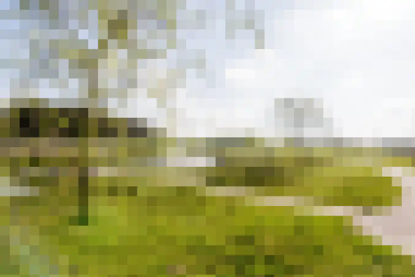 Meerring 62 Eindhoven thumbnail 39