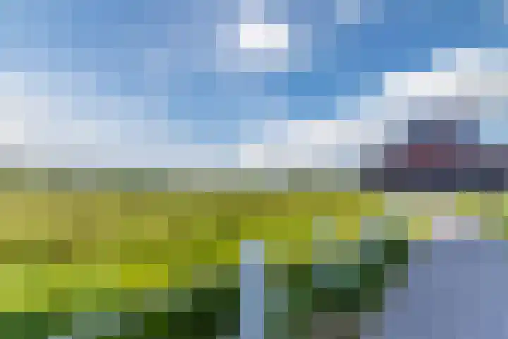 Meerring 98 Eindhoven thumbnail 43