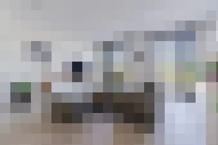 Meerring 98 Eindhoven thumbnail 8