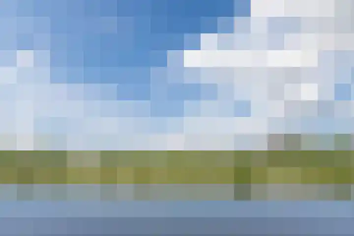 Meerring 98 Eindhoven thumbnail 9