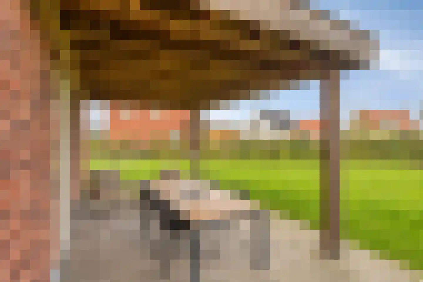 Meers 22 Thorn thumbnail 20