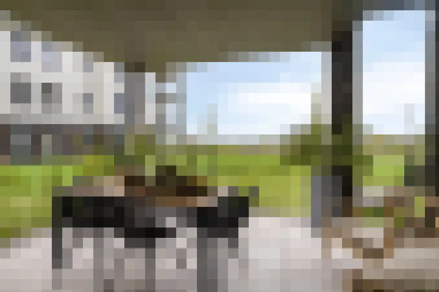 Meers 5 Thorn thumbnail 4