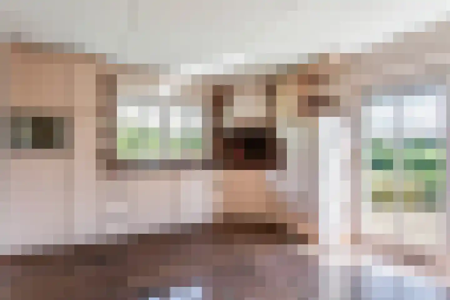 Meersendijk 26 Den Ham thumbnail 7