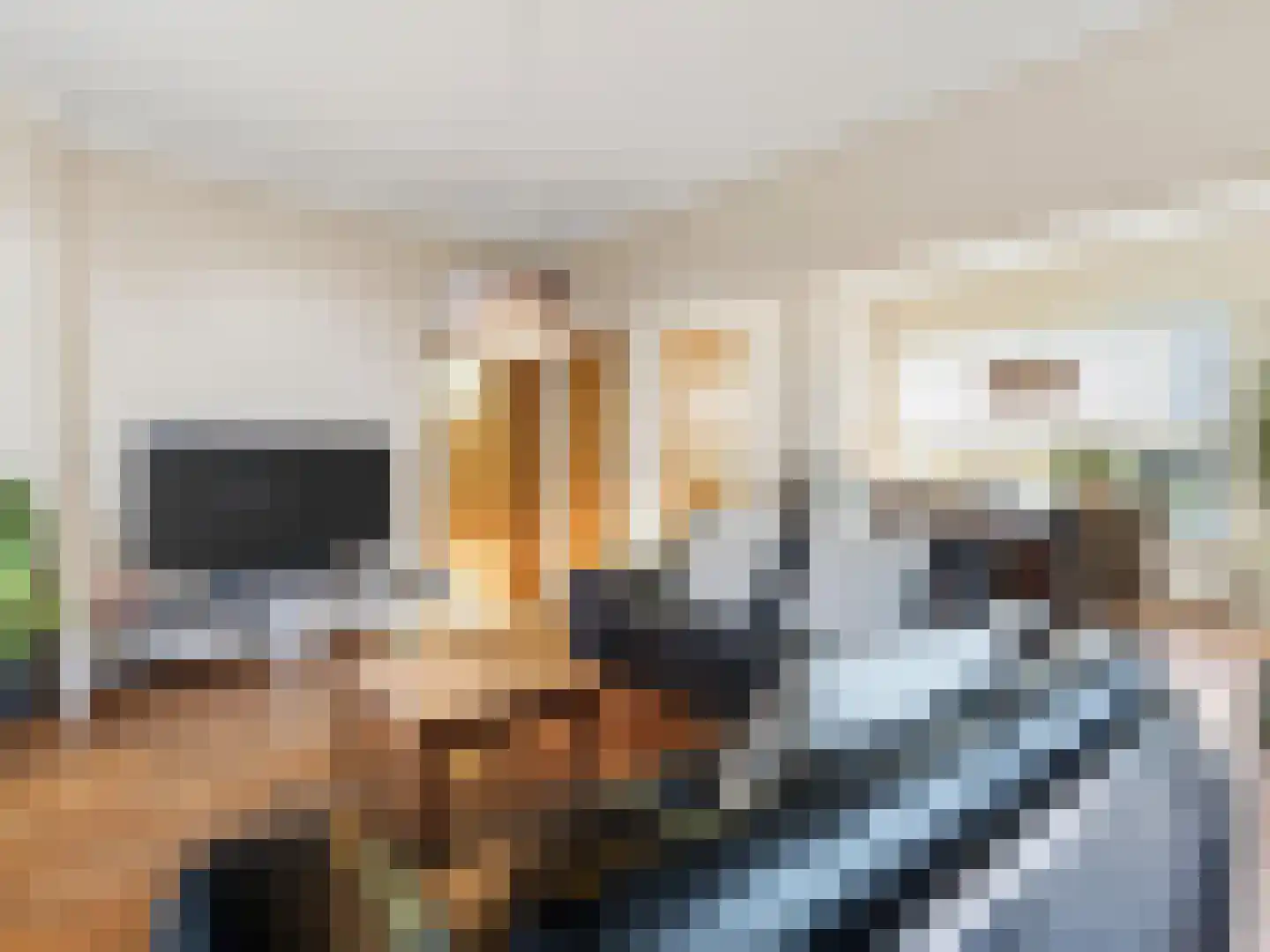 Meerser Eindstraat 15 Stein thumbnail 10