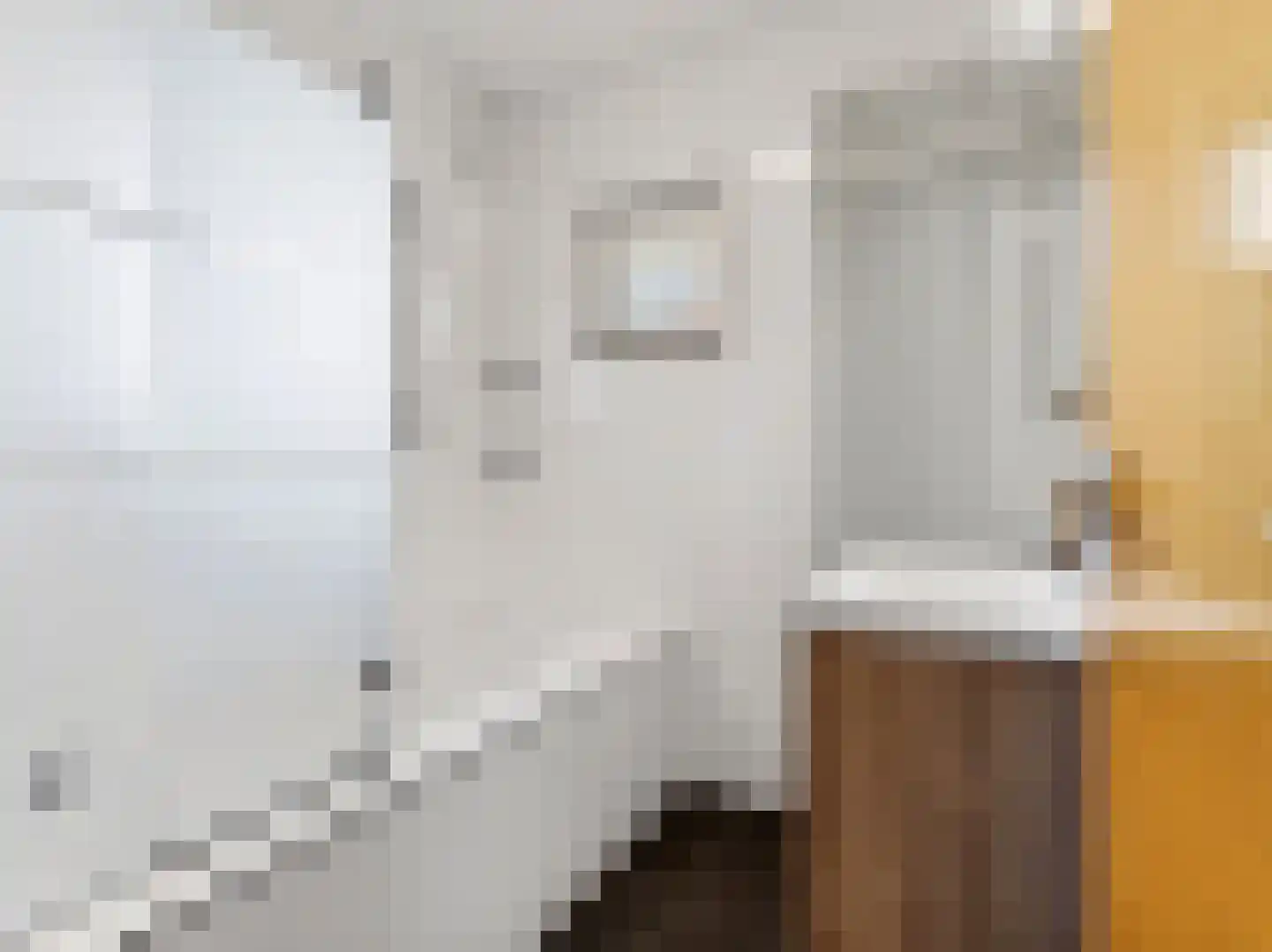 Meerser Eindstraat 15 Stein thumbnail 16