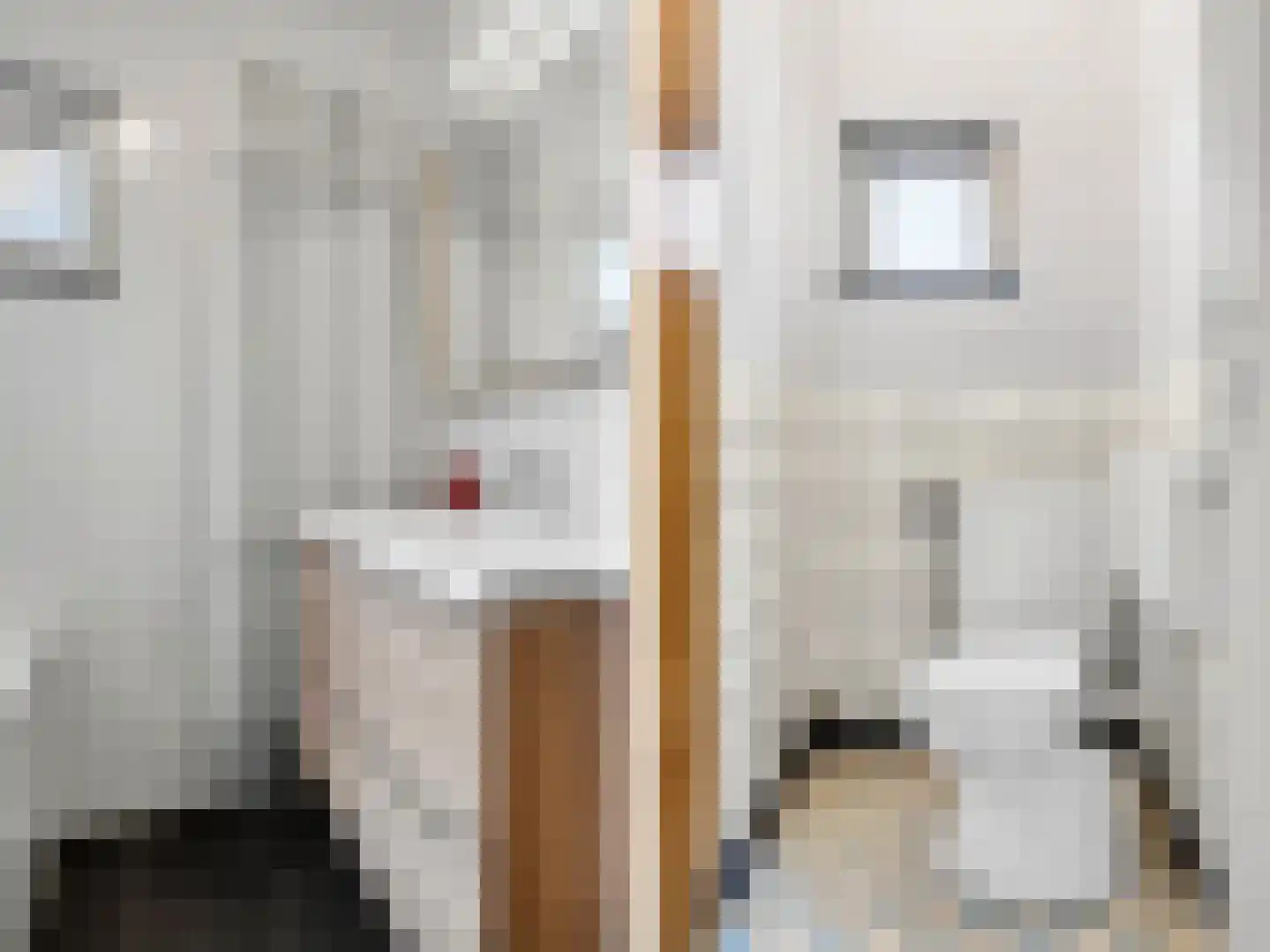 Meerser Eindstraat 15 Stein thumbnail 17