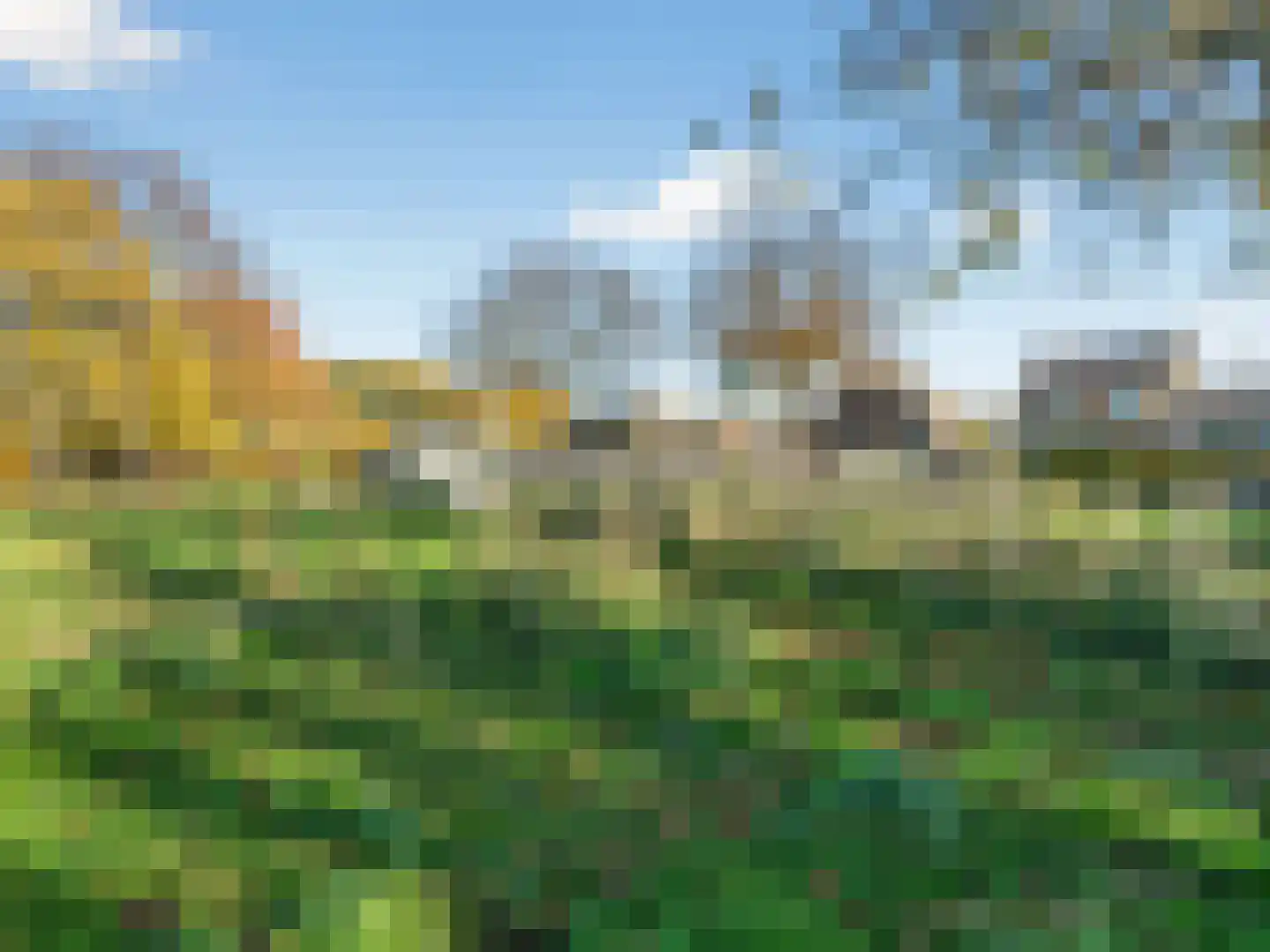 Meerser Eindstraat 15 Stein thumbnail 23