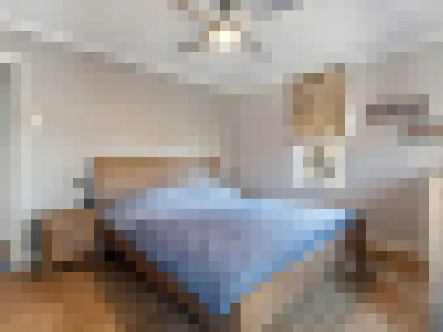 Meerser Eindstraat 15 Stein thumbnail 25