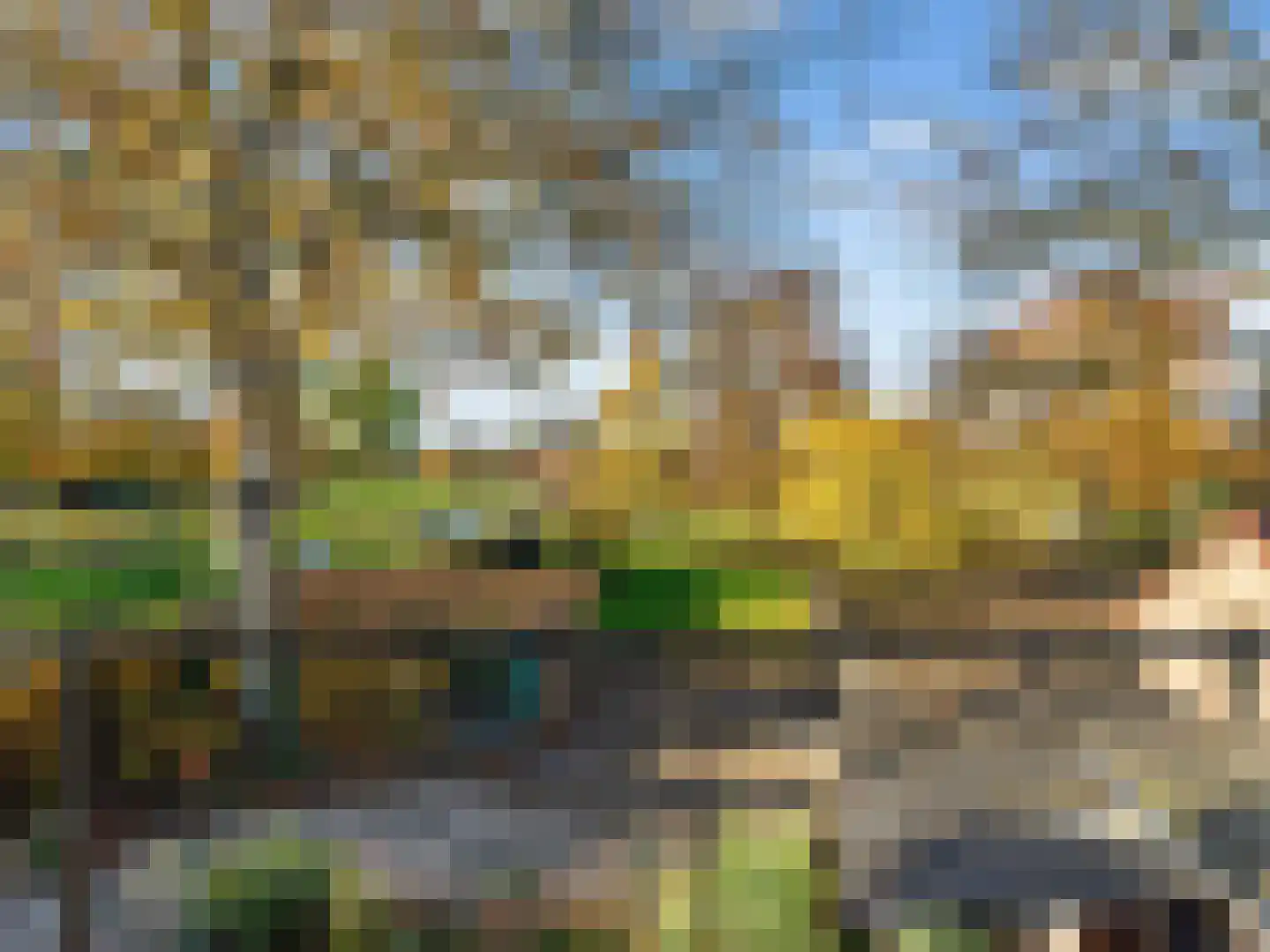 Meerser Eindstraat 15 Stein thumbnail 29