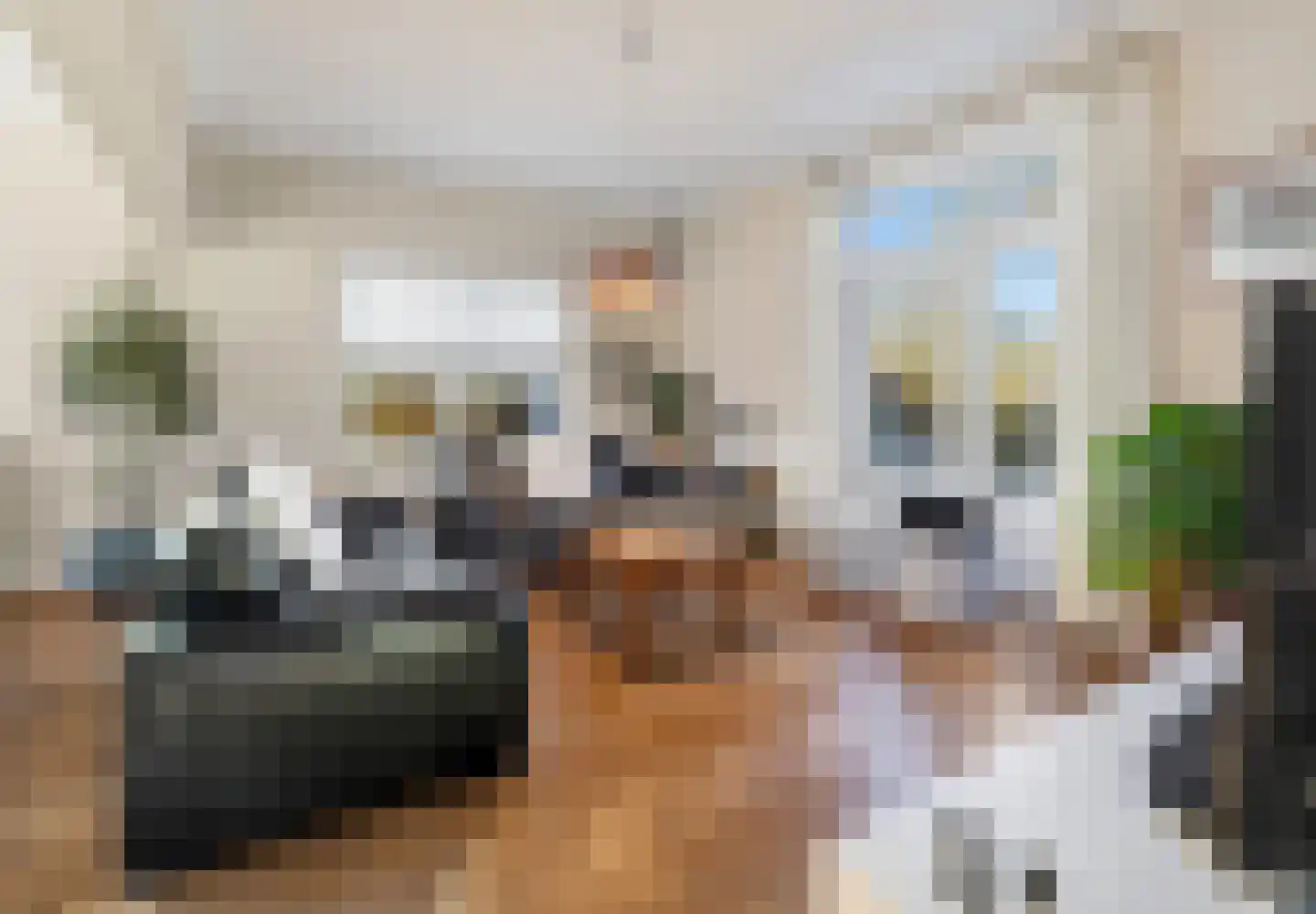 Meerser Eindstraat 15 Stein thumbnail 9