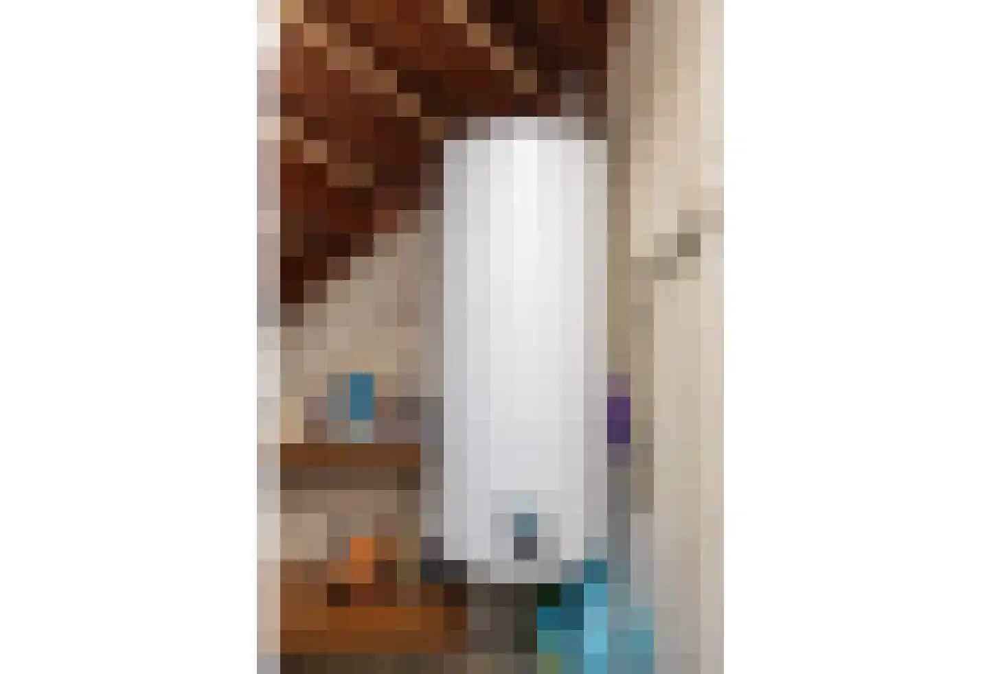 Meerser Koestraat 10 Stein thumbnail 13