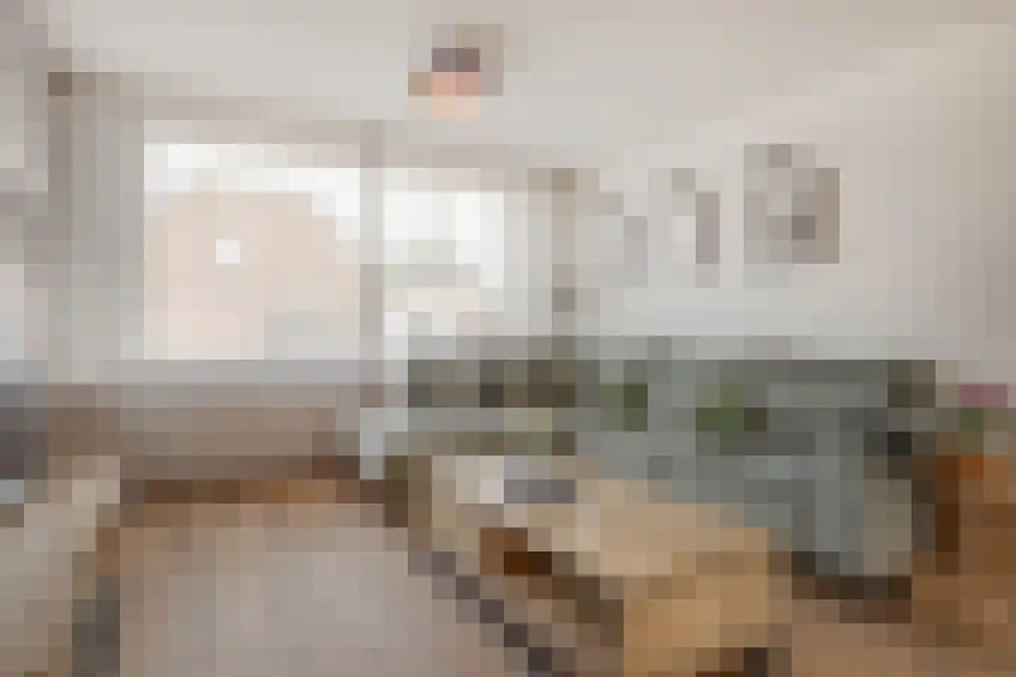 Meerser Koestraat 10 Stein thumbnail 17