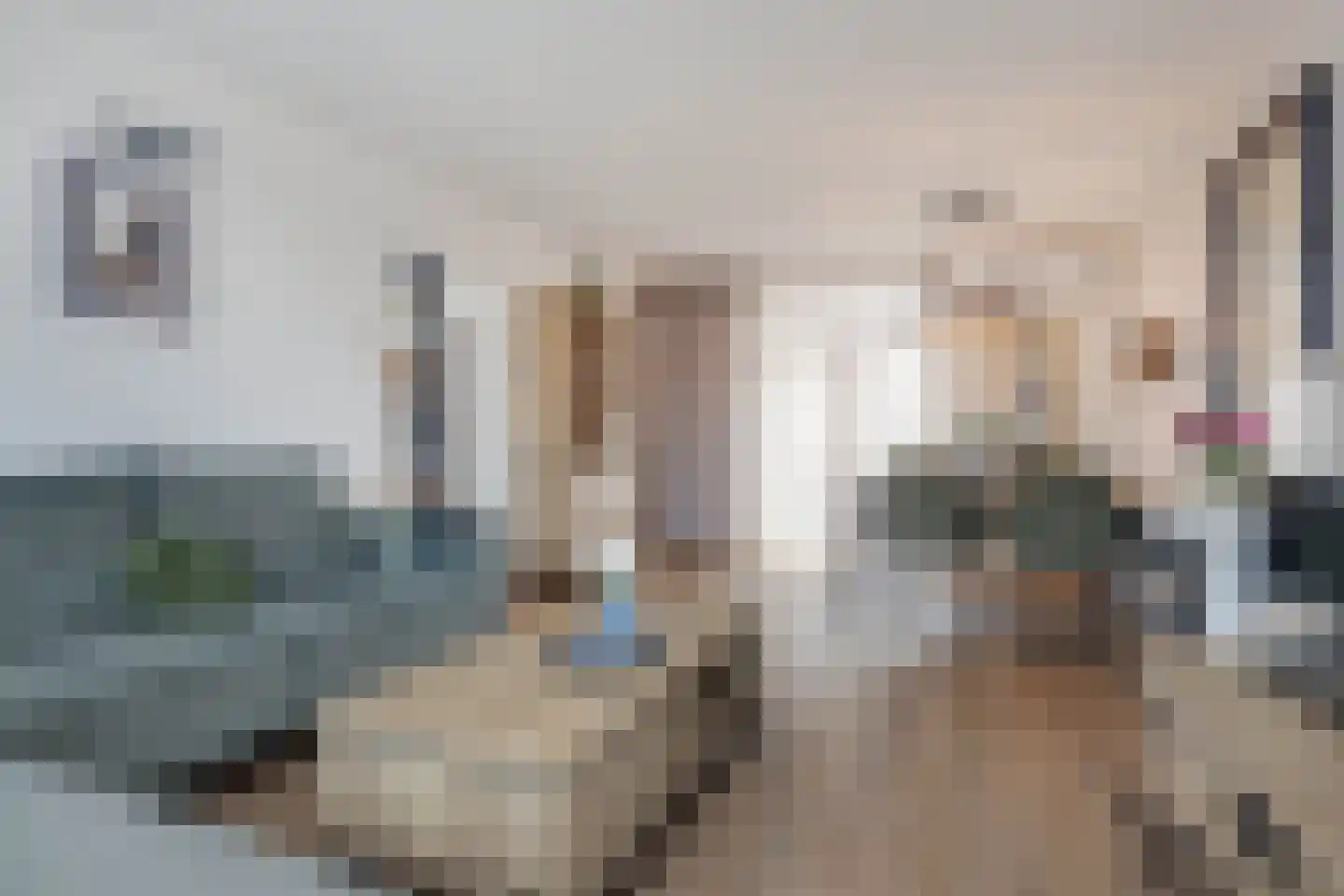 Meerser Koestraat 10 Stein thumbnail 18