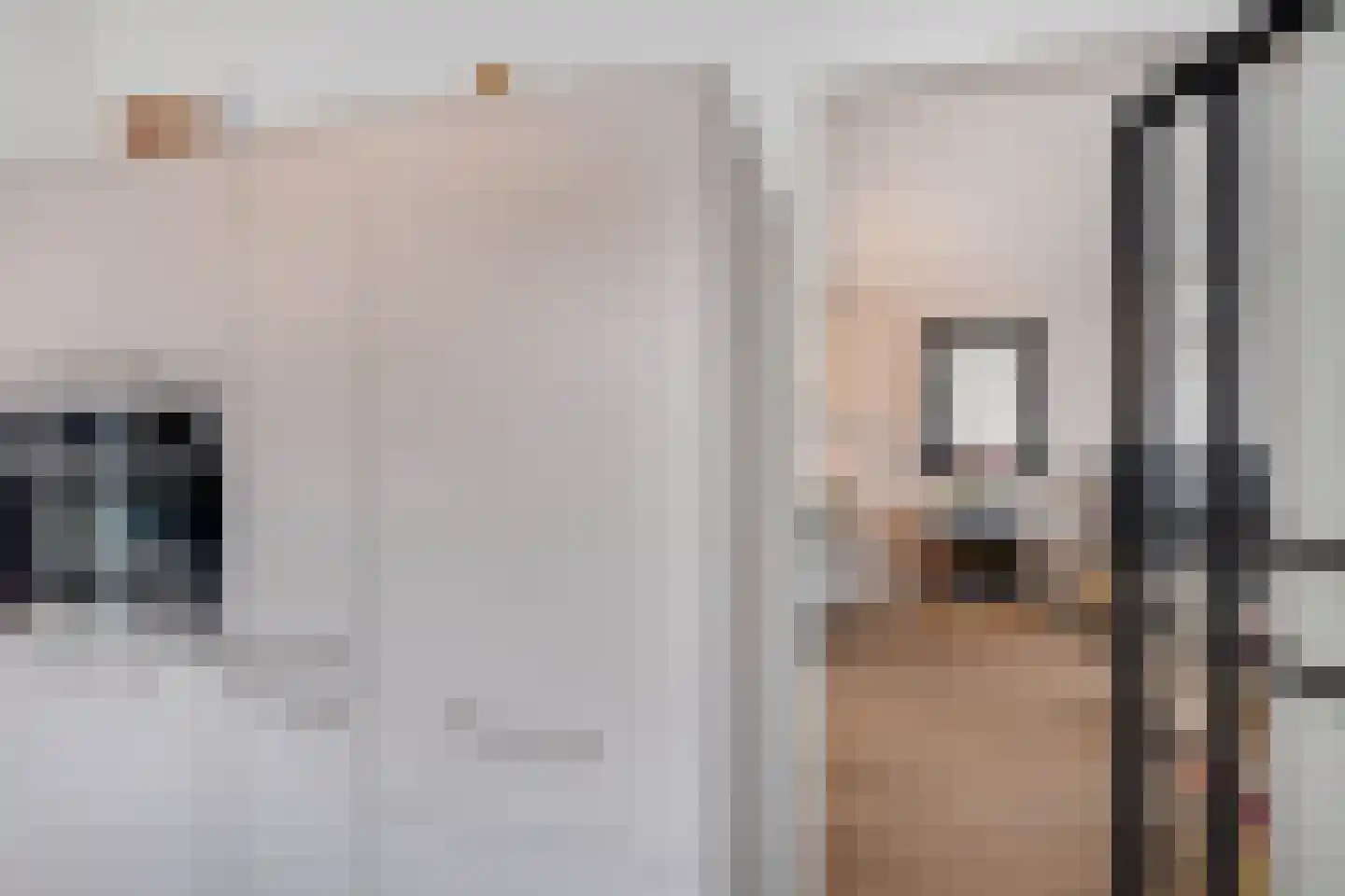 Meerser Koestraat 10 Stein thumbnail 22